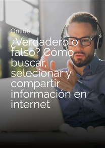 Online. Verdadero o falso. Imagen web.
